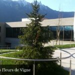 EMS Foyer Les Fleurs de Vigne