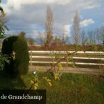 Communauté de Grandchamp