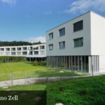 Violino Zell